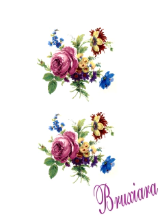 55472(B) Flores - comprar online