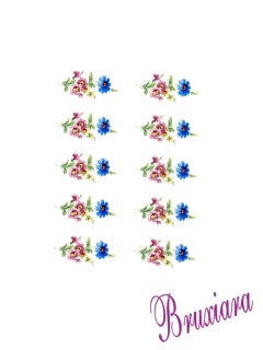 55473(B) Flores na internet