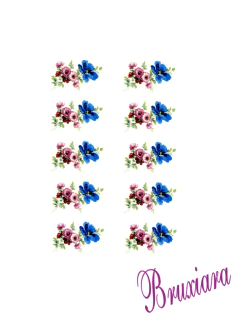 55473(C) Flores na internet