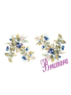 55563 Blueberry - comprar online