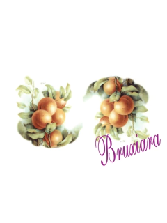 55565 Pêssego - comprar online