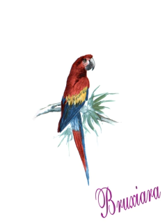 55738(E) Aves Exóticas