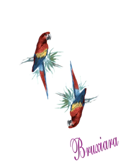 55738(E) Aves Exóticas - comprar online