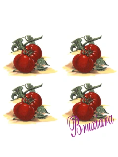 90243(D) Tomate na internet
