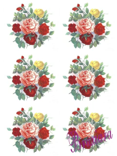 55487 Rosas na internet