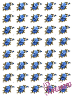 70008 Rosas (3 cores) - comprar online