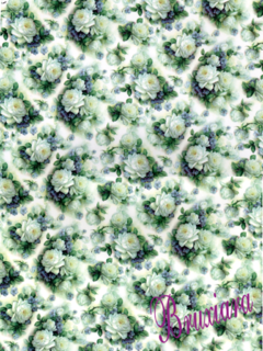 70017(23) Tapete Floral