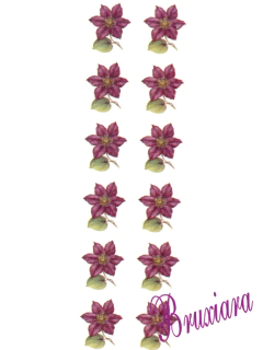 90094 Flor na internet