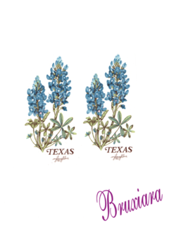 80007 Lavanda