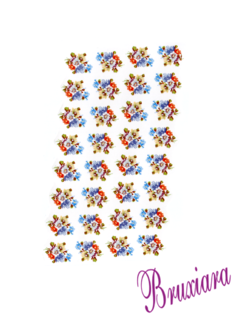 80024(B) Flores