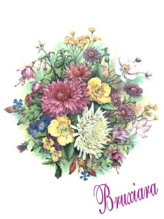 80026(A) Classical Flowers