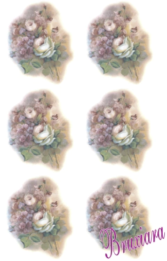 80027 Flor Primavera na internet