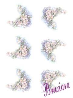 80031 Flores na internet