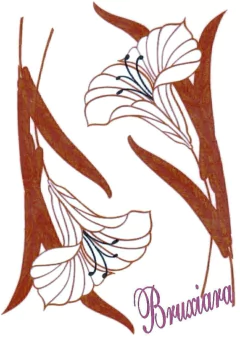 80028 Copo de Leite Ouro - comprar online