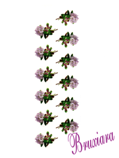 80051 Flor - loja online