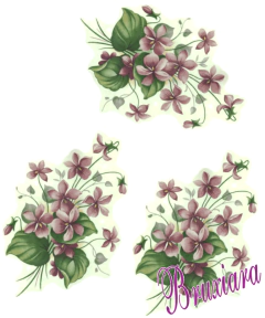 80053 Flor Violeta na internet