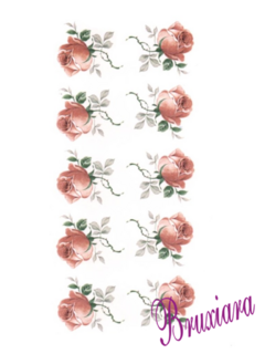80060 Rosa