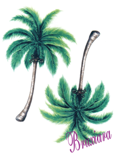 80075 Coqueiros