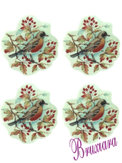 80185 Pássaro c/frutas - comprar online