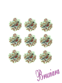 80185 Pássaro c/frutas na internet