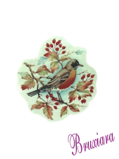 80185 Pássaro c/frutas