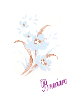 81104(B) Flor Azul com ouro Vidro