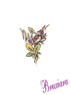 81110 Flores Modernas com ouro