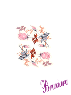 81120 Rosas