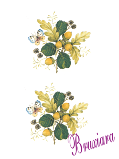 81140(A) Borboleta e castanhas - comprar online
