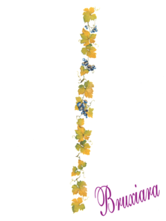 81142(B) Uvas Faixa