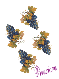 81142(B) Uvas na internet