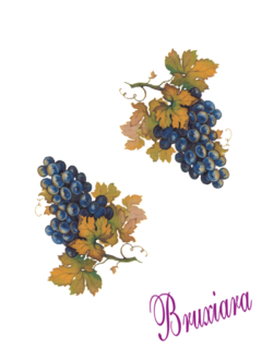 81142(B) Uvas - comprar online