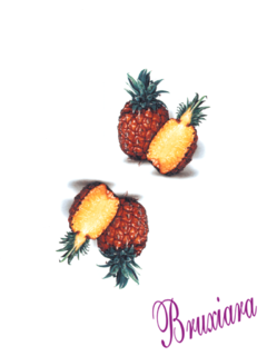 81144 Abacaxi - comprar online
