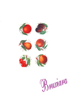 81148(B) Frutas