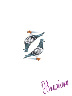 81155(C) Pássaro Urbano Vidro