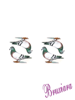 81155(B) Pássaro Urbano Vidro - comprar online