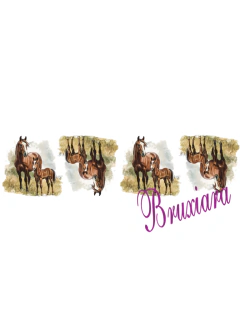 55753 Cavalo na internet