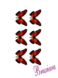 90005(A) Borboletas - loja online