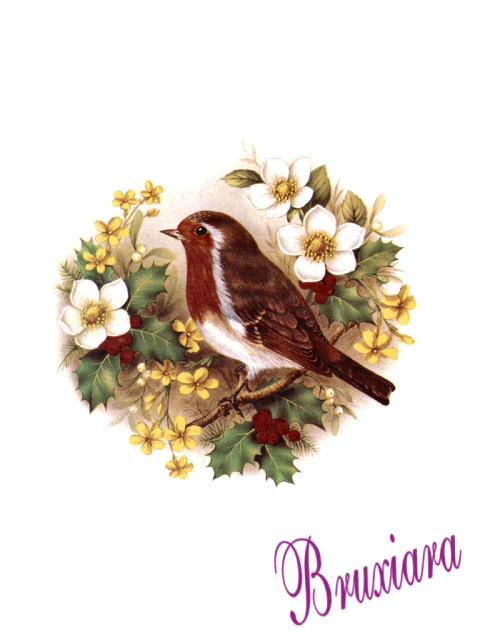 90040 Pássaro c/flores