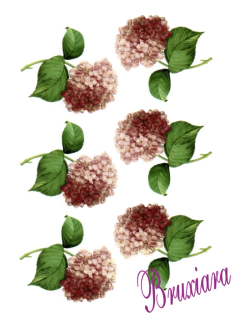 90071(C) Hortência Rosa na internet