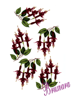 90073 Flor - comprar online