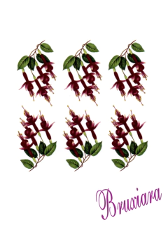 90073 Flor na internet