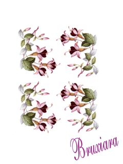 90076 Flor - loja online