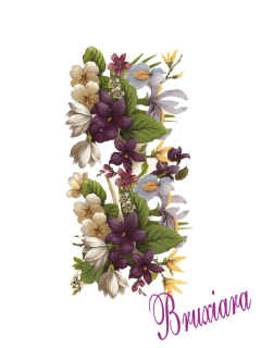 90077(L) Flor