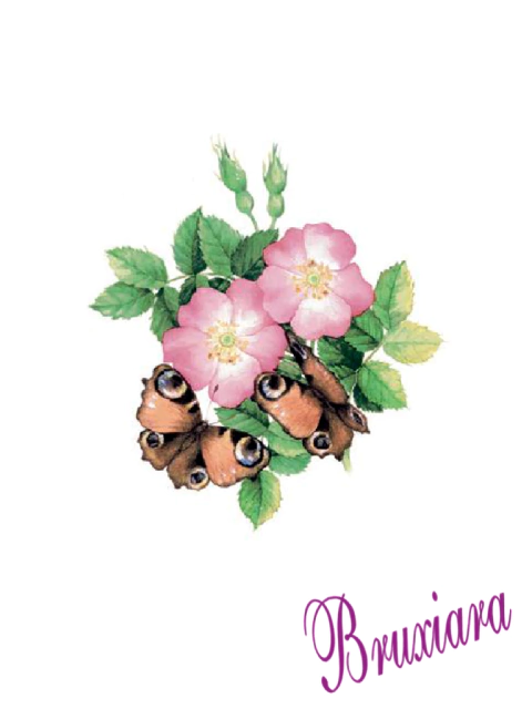 90082 Flor c/Borboleta