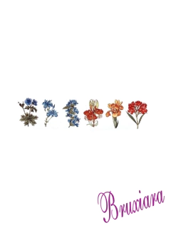 90083 Botânica na internet