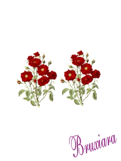 90102 Flores Vermelhas