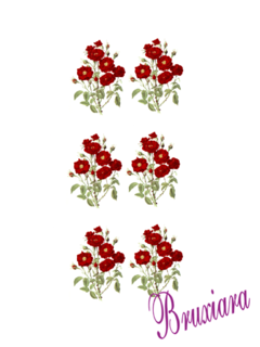 90102 Flores Vermelhas na internet