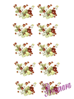 90235 Morangos - loja online