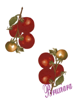 90240 Tomate - comprar online